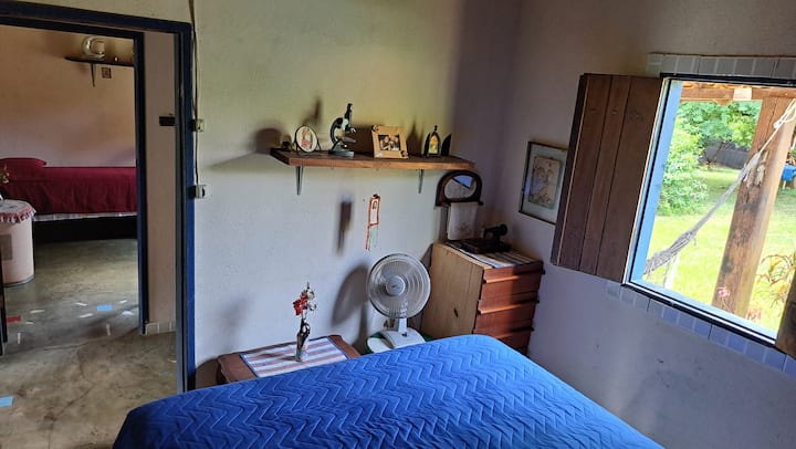 Habitación 1