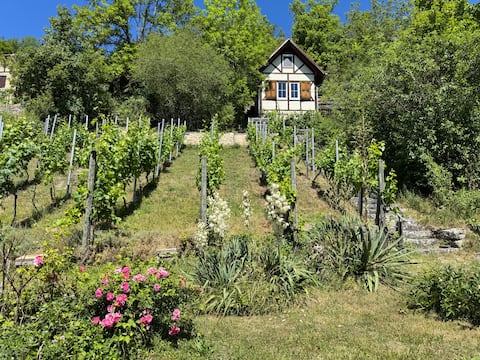 Cozy vineyard house with fantastic views