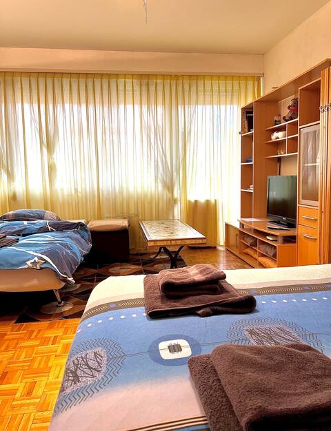 Big studio furnished in Monthey
