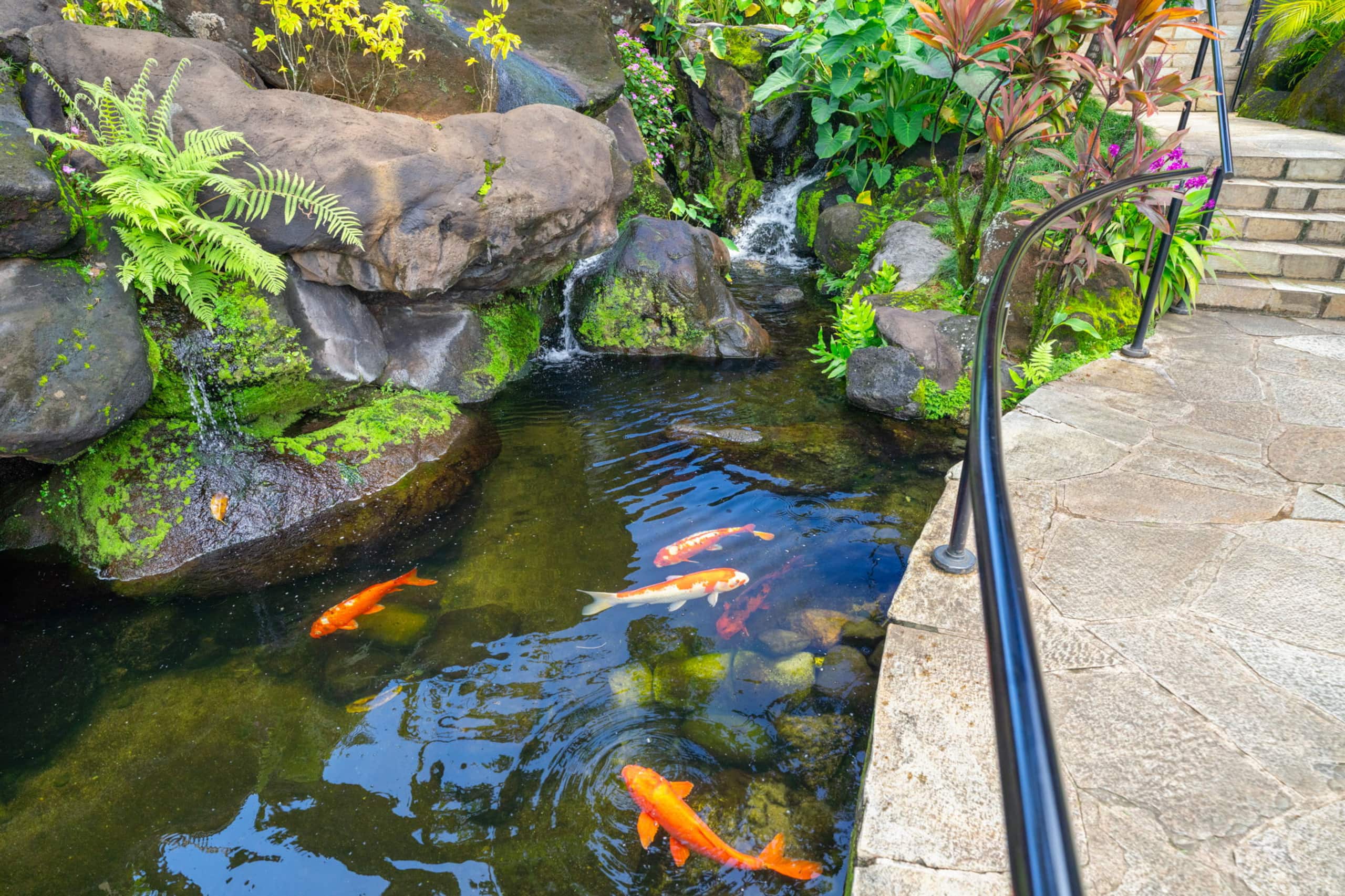 Resort in Princeville · ★4.88 · Studio · 2 beds · 1 private bath - Image 36