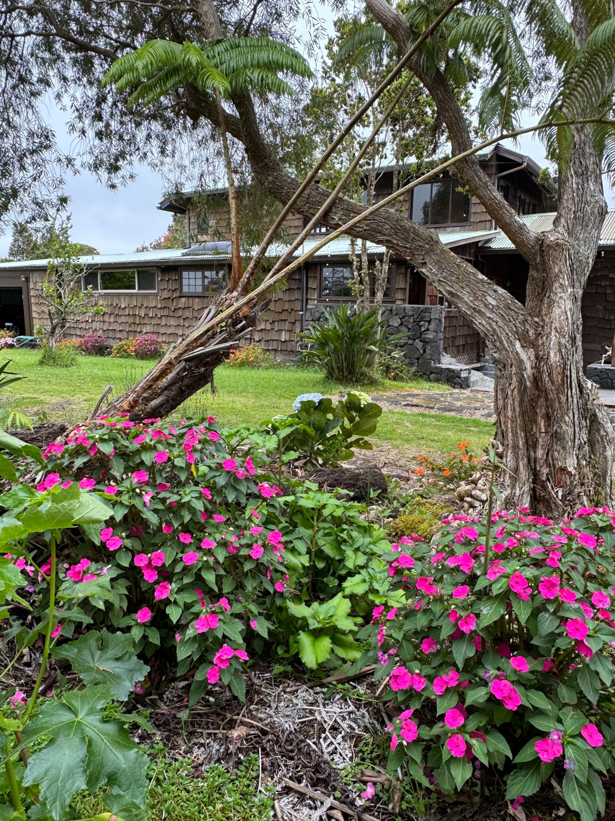 Volcano Ranch House - Photo 7