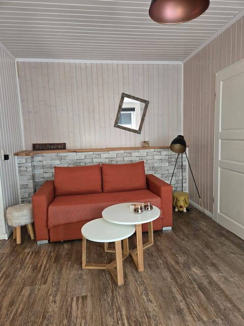 Successful Airbnb property: Vacation with dog in Goslar