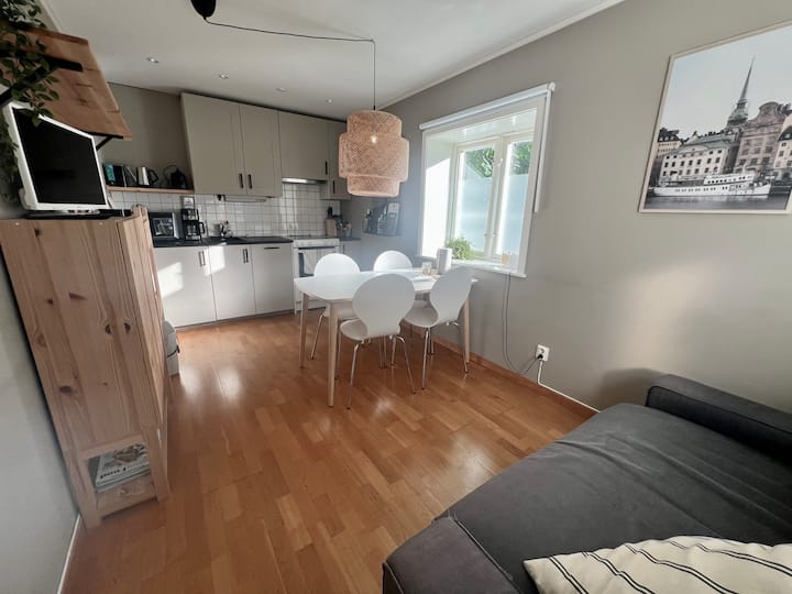 Villa Rosenhill Guesthouse - 15 Min To City - Stockholm