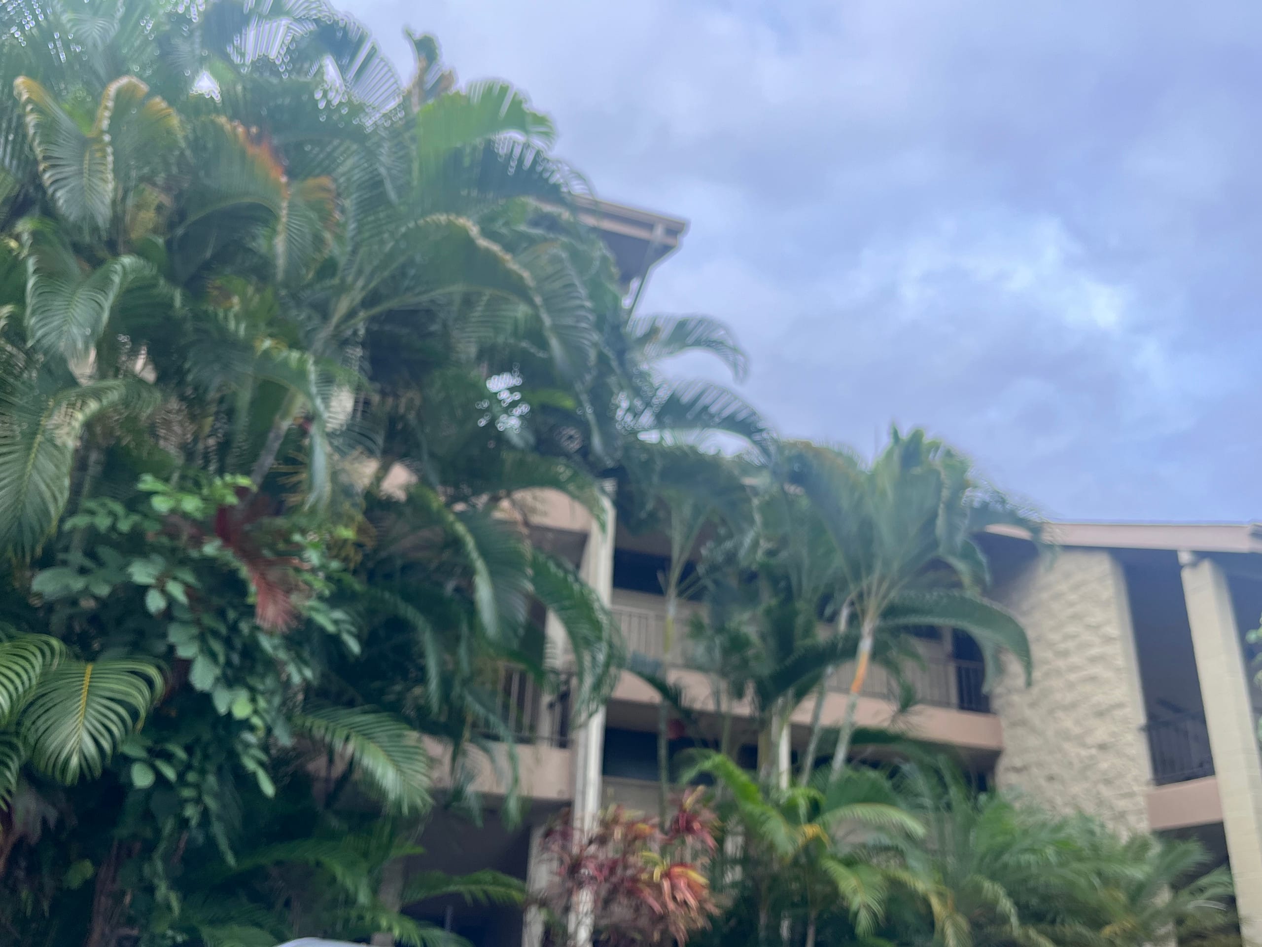 Condo in Kailua-Kona · ★4.73 · 1 bedroom · 1 bed · 1 bath - Image 25