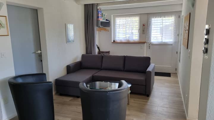 Appartement à Plagne Ch Avec Jardin Privatif - Suisse