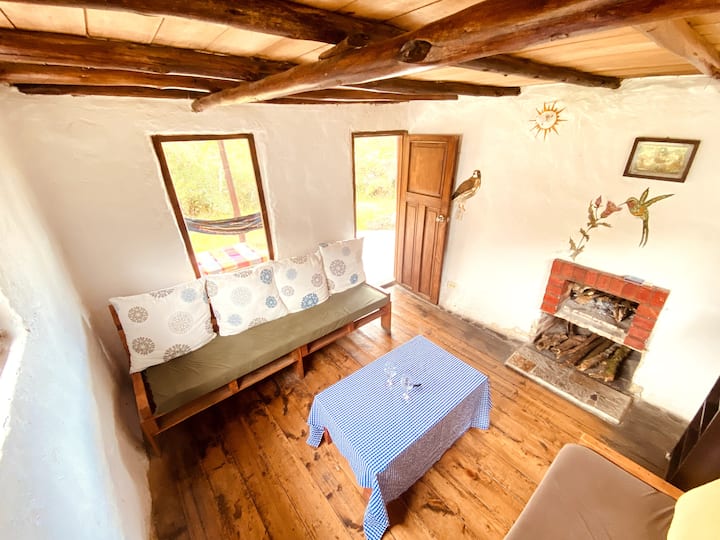 غرفة المعيشة