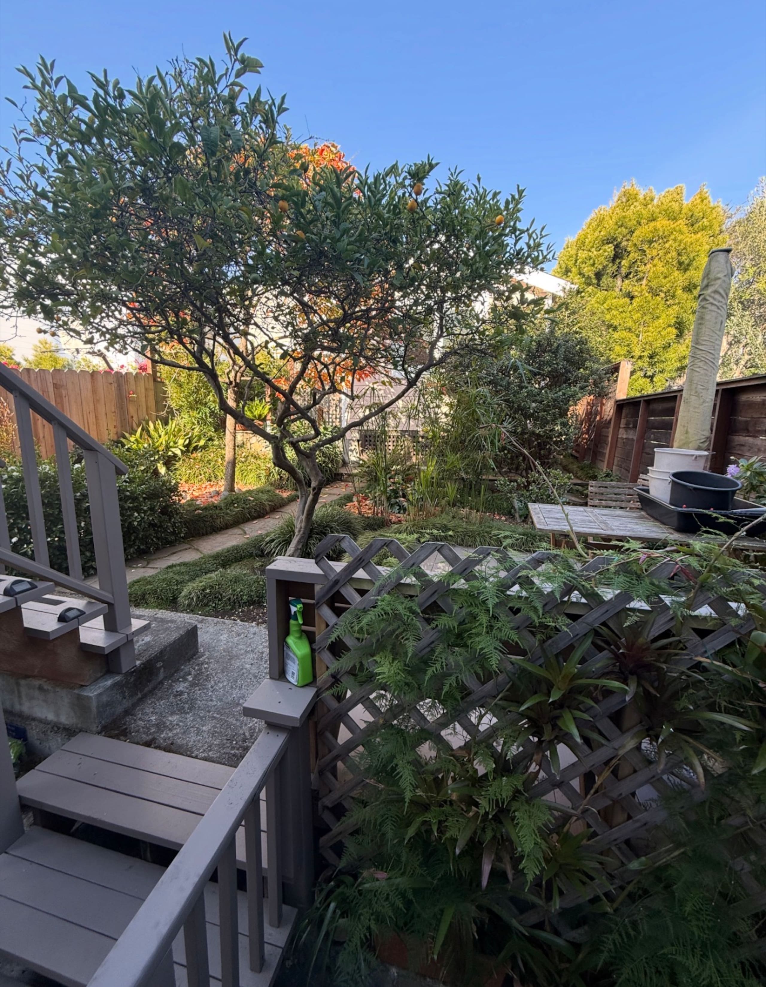 Home in San Francisco · ★4.99 · 2 bedrooms · 2 beds · 1 bath - Image 21