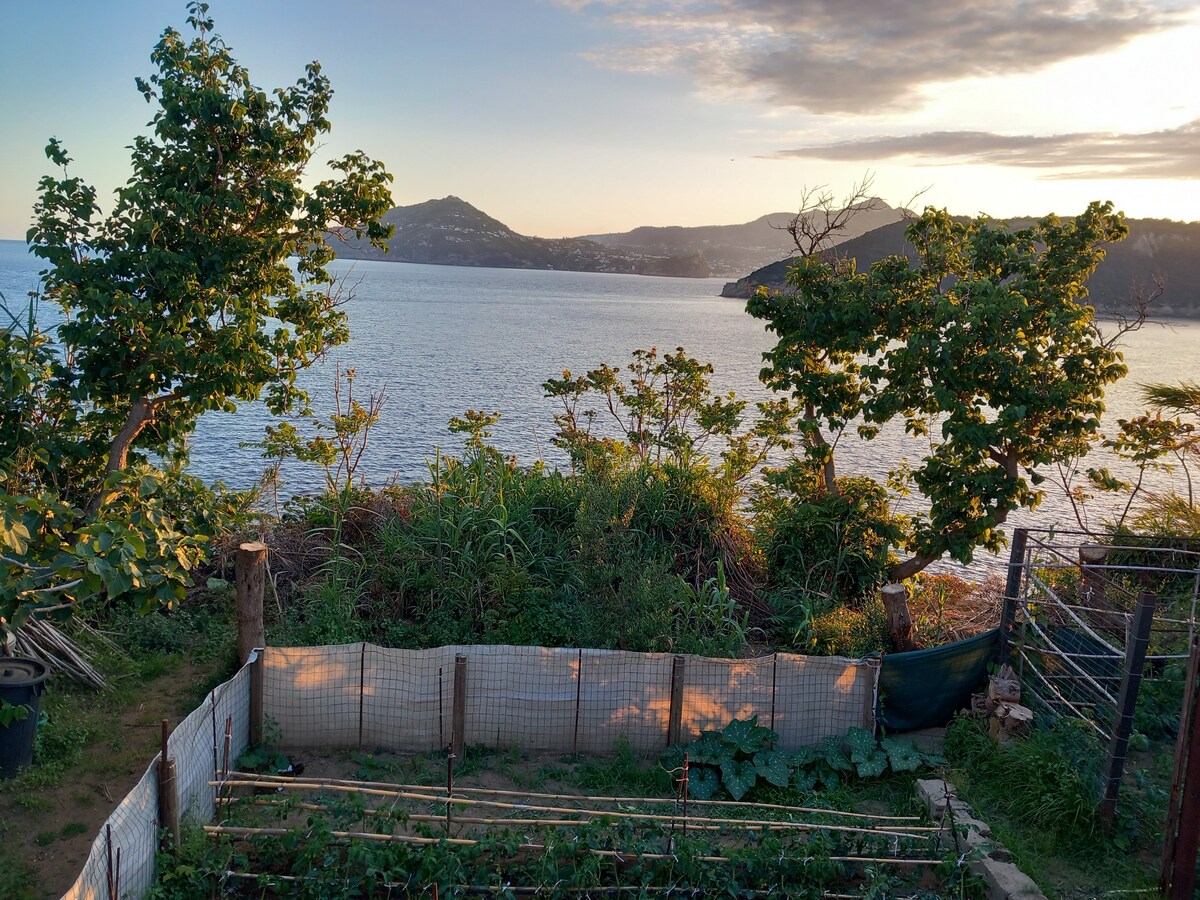 【本日限定26500→25000】 Lake House Romper Casa Lolò, la terrazza sul mare - case in affitto a Procida