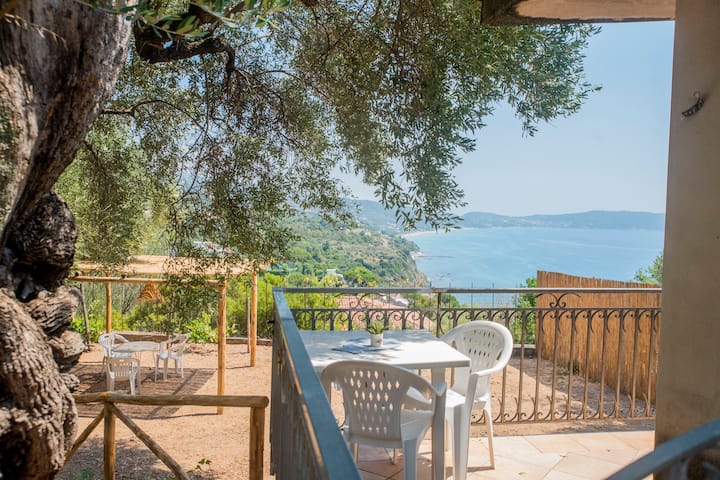 Mini Appartamento Con Splendida Vista Mare - Pisciotta