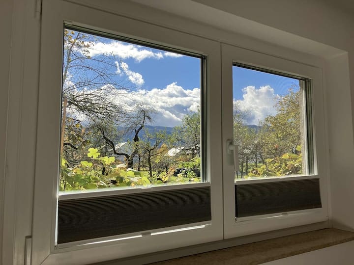 Vista de la ventana