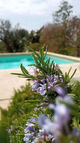 Ulivi al tramonto: country home with private pool