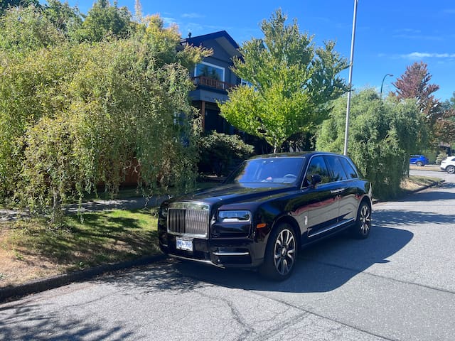 Corkscrew Willow Estate gallery image 5