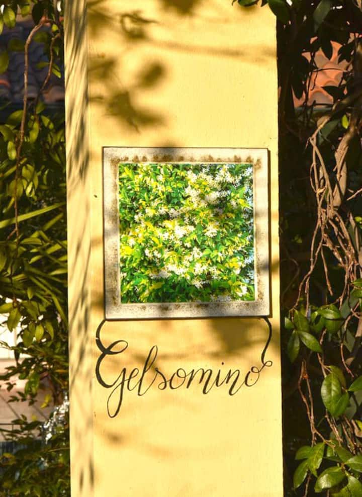 Appartamento " Il Gelsomino" - Chivasso