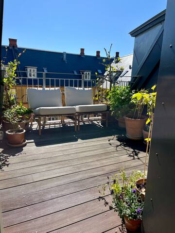 A treasure at the roofs of Copenhagen gallery image 2