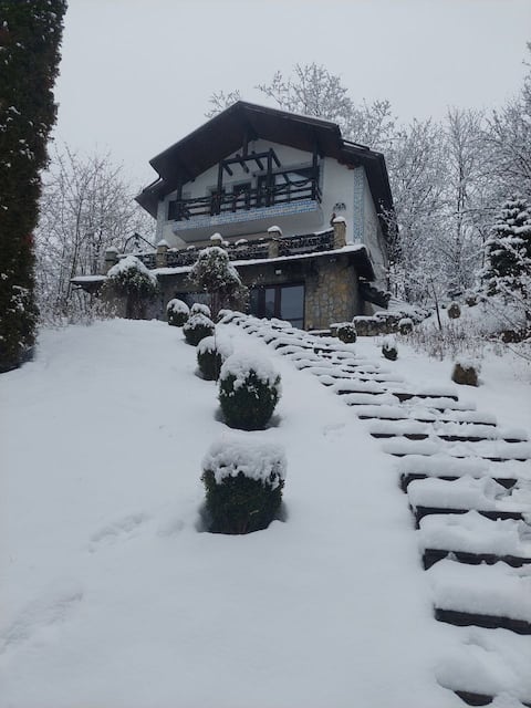 Welcome to a magic place for fun and relaxation!