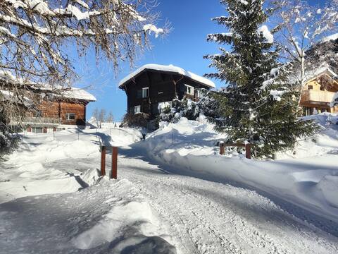 Chalet Swiss Alps/100% Nature+Relax/Loipe Goms!