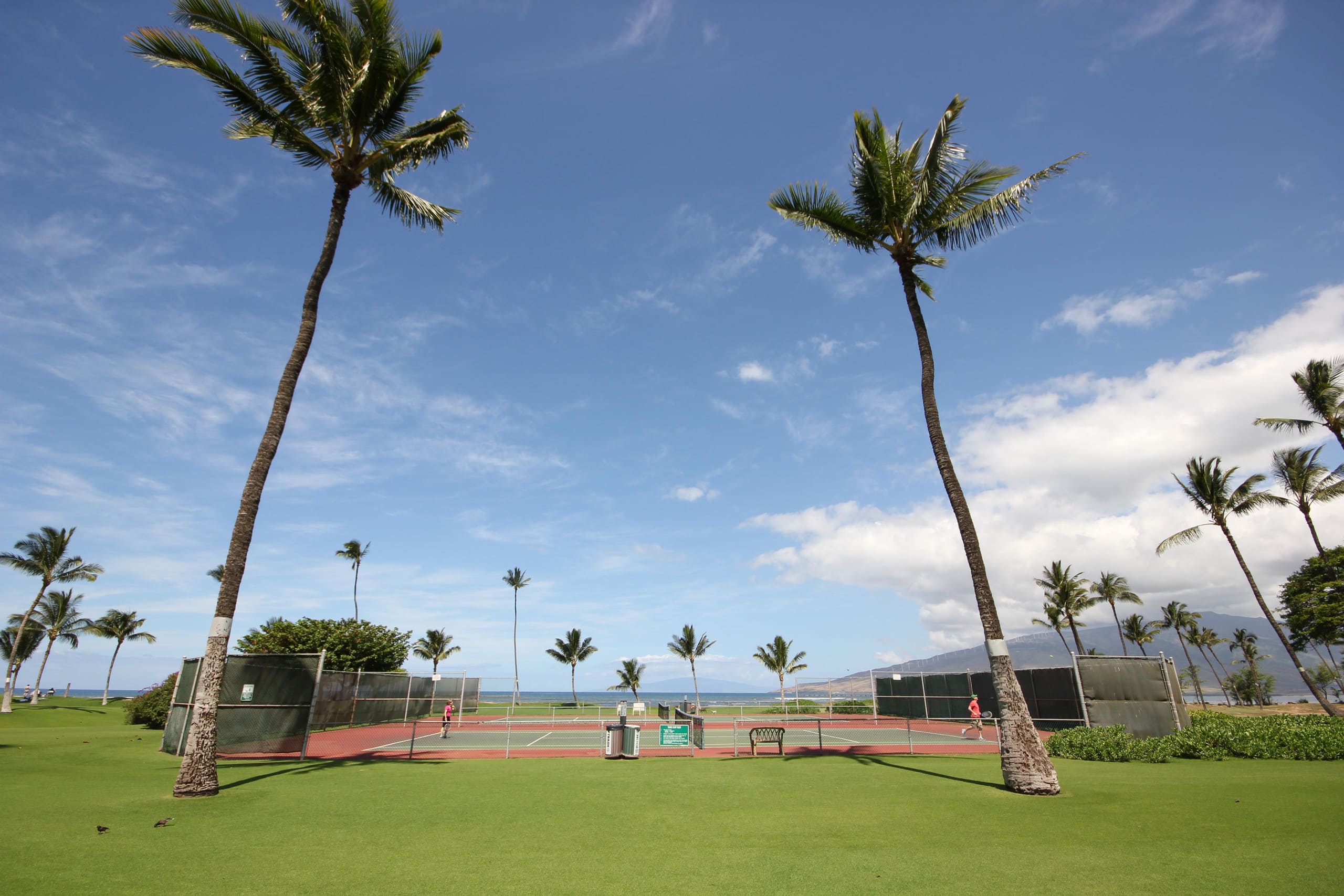 Condo in Kihei · ★4.71 · 2 bedrooms · 4 beds · 2 baths - Image 16