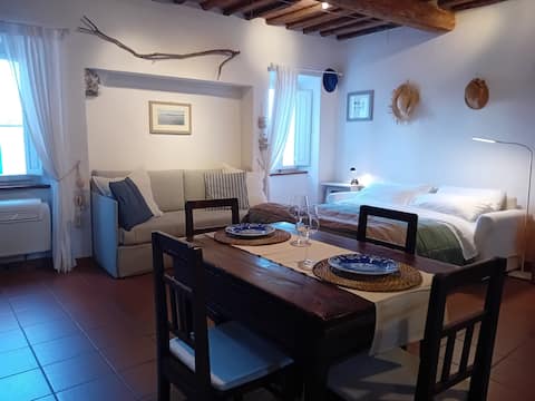 Successful Airbnb property: the jewel of Rio nell'Elba in Rio