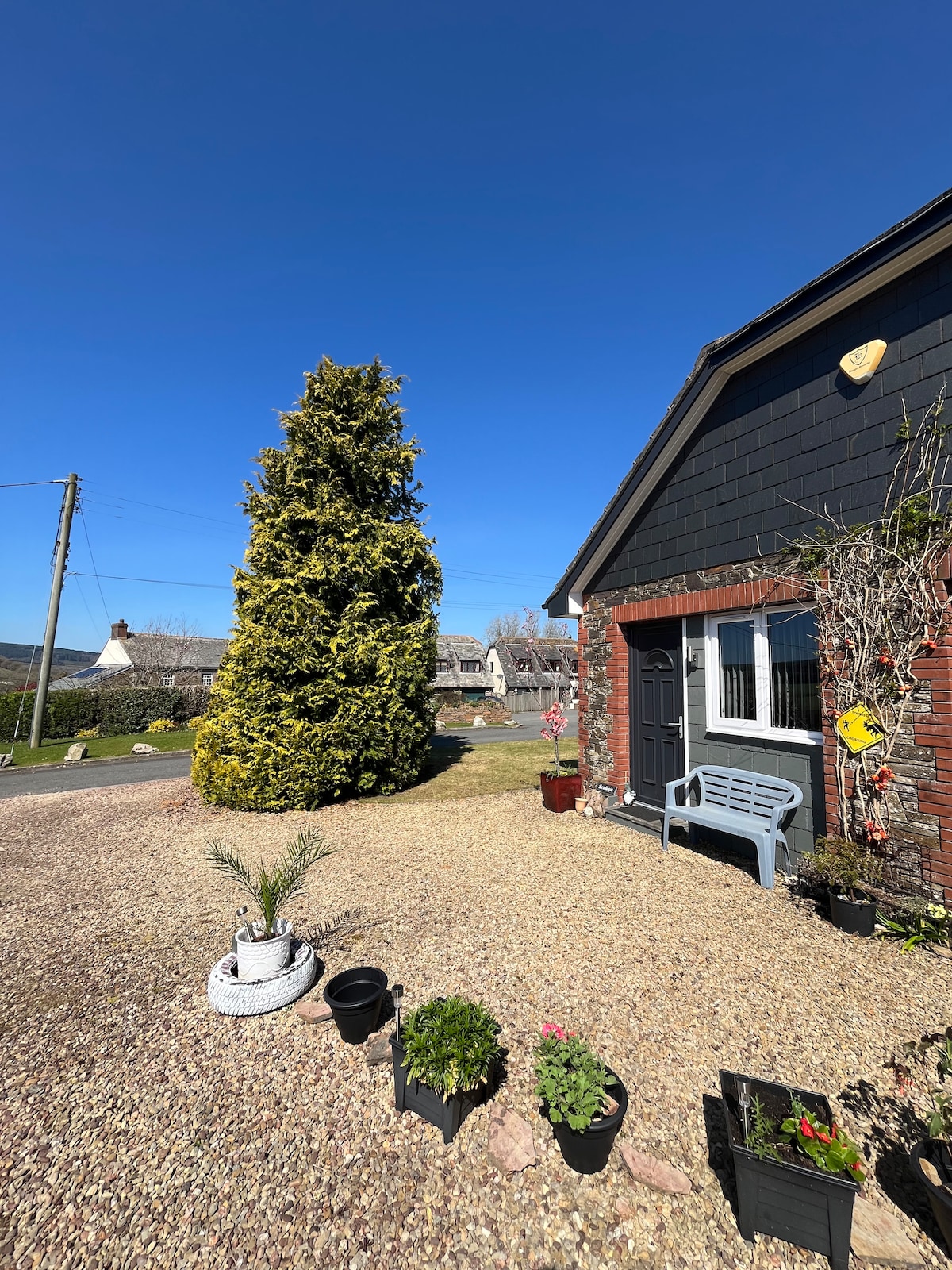 The image shows a sunny exterior view of the studio, featuring a neatly arranged front garden. Planters with flowers are placed along the gravel path, complemented by a decorative bench beside the entrance. A tall, evergreen tree stands prominently against a clear blue sky.