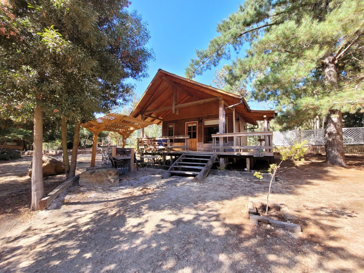A rustic bungalow is set amidst a small forest, featuring a large wooden deck with seating. The structure showcases a sloped roof and large windows, surrounded by sun-drenched trees and natural ground. The inviting outdoor space is perfect for relaxation in the serene environment.