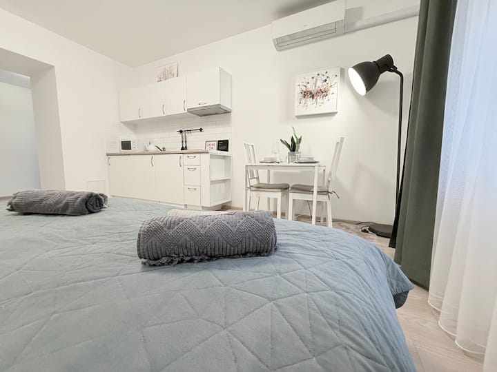 The Best Studio In Old Town. Perfect Location. - Vilna