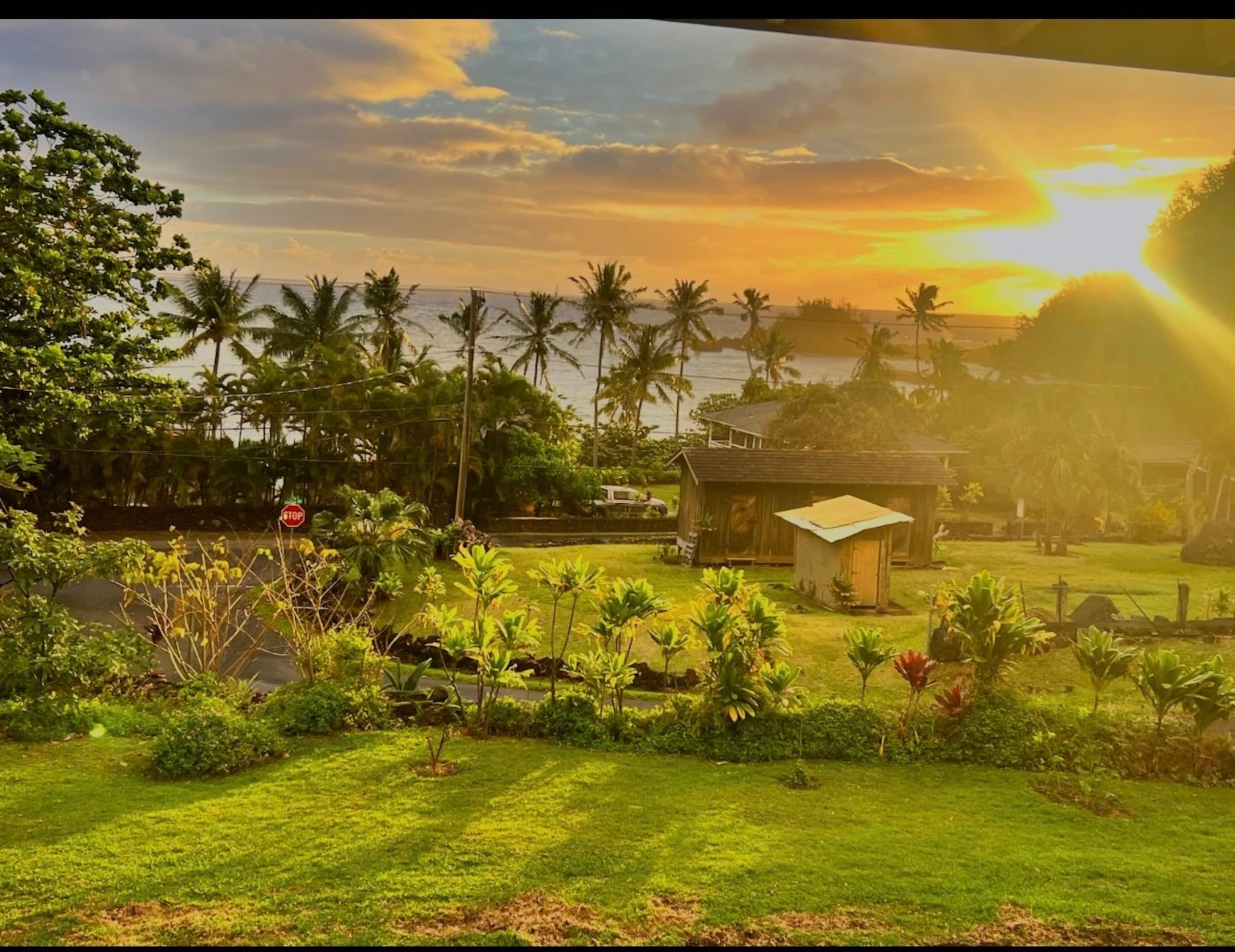 Hana Homestead by the Beach - Photo 3