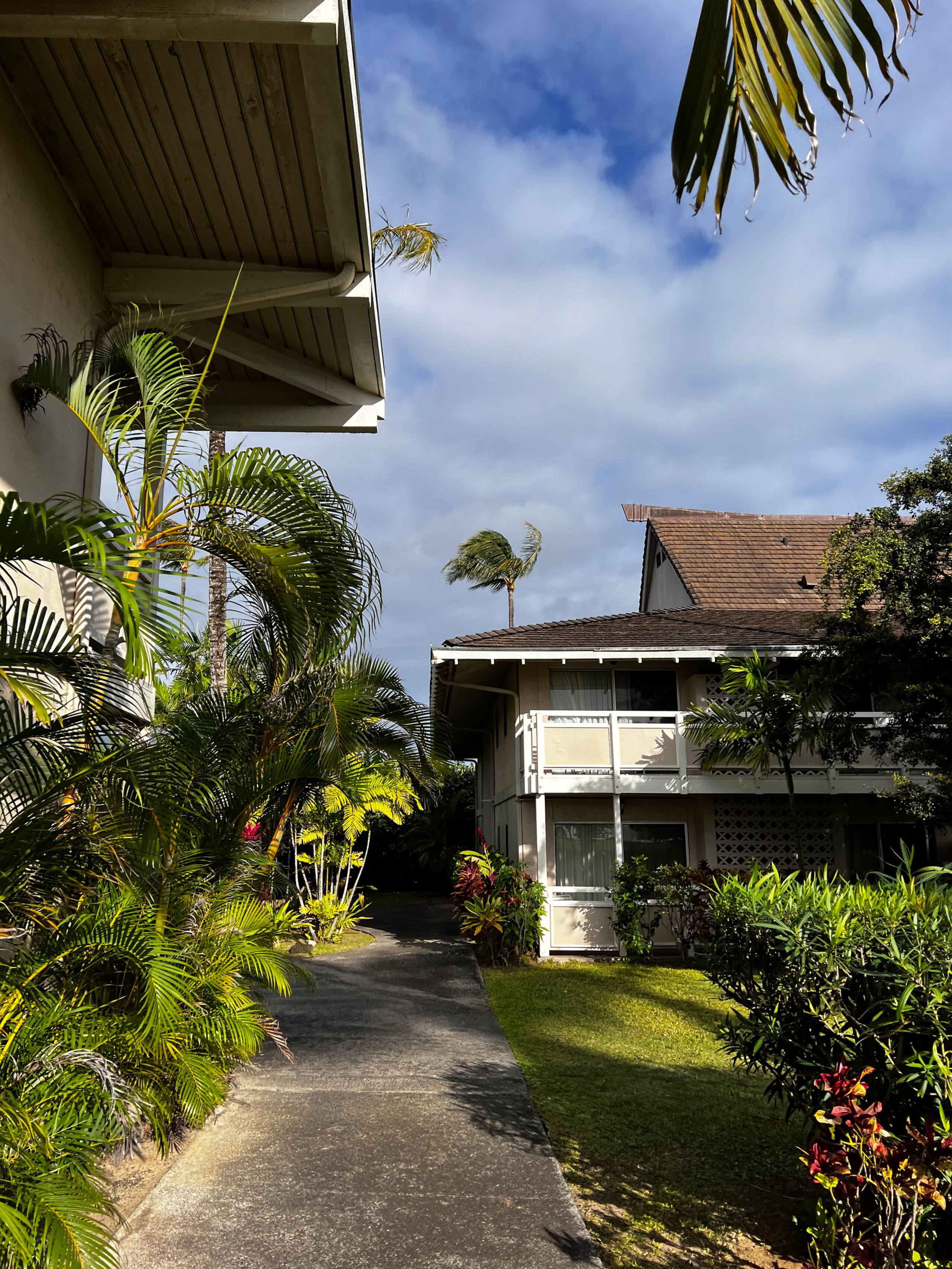 Kauai OCEAN VIEW 1 Bedroom CONDO steps to BEACH! - Photo 32