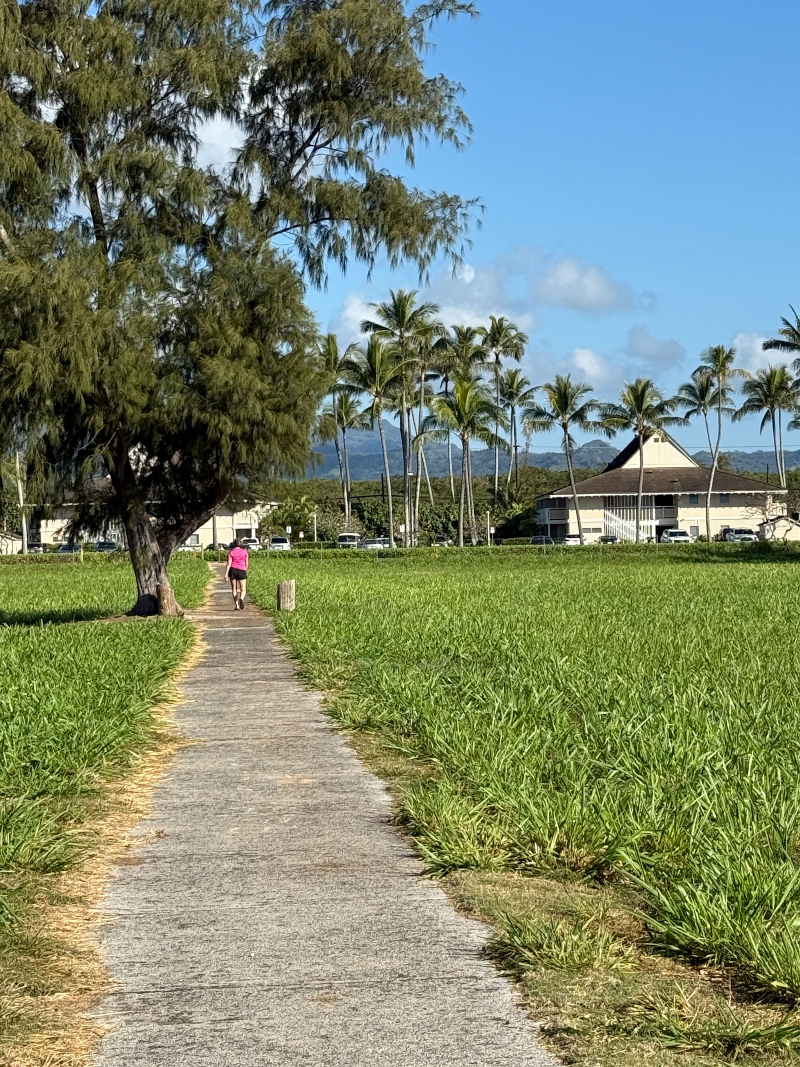 Kauai OCEAN VIEW 1 Bedroom CONDO steps to BEACH! - Photo 37