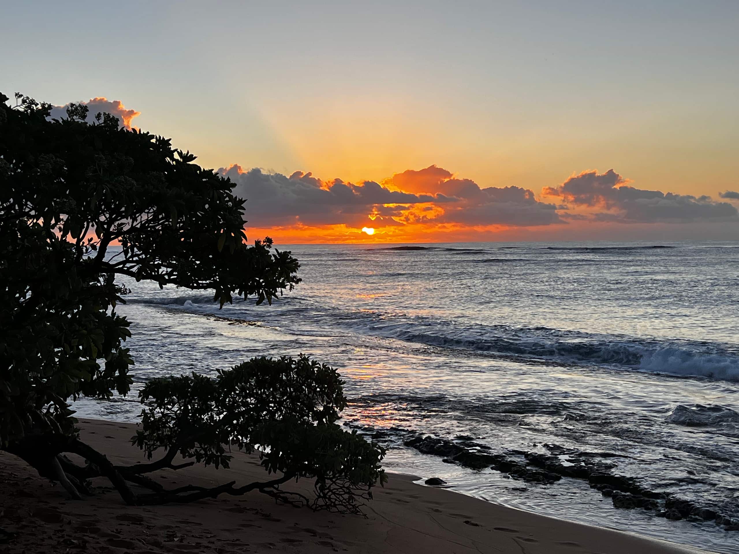 Kauai OCEAN VIEW 1 Bedroom CONDO steps to BEACH! - Photo 40