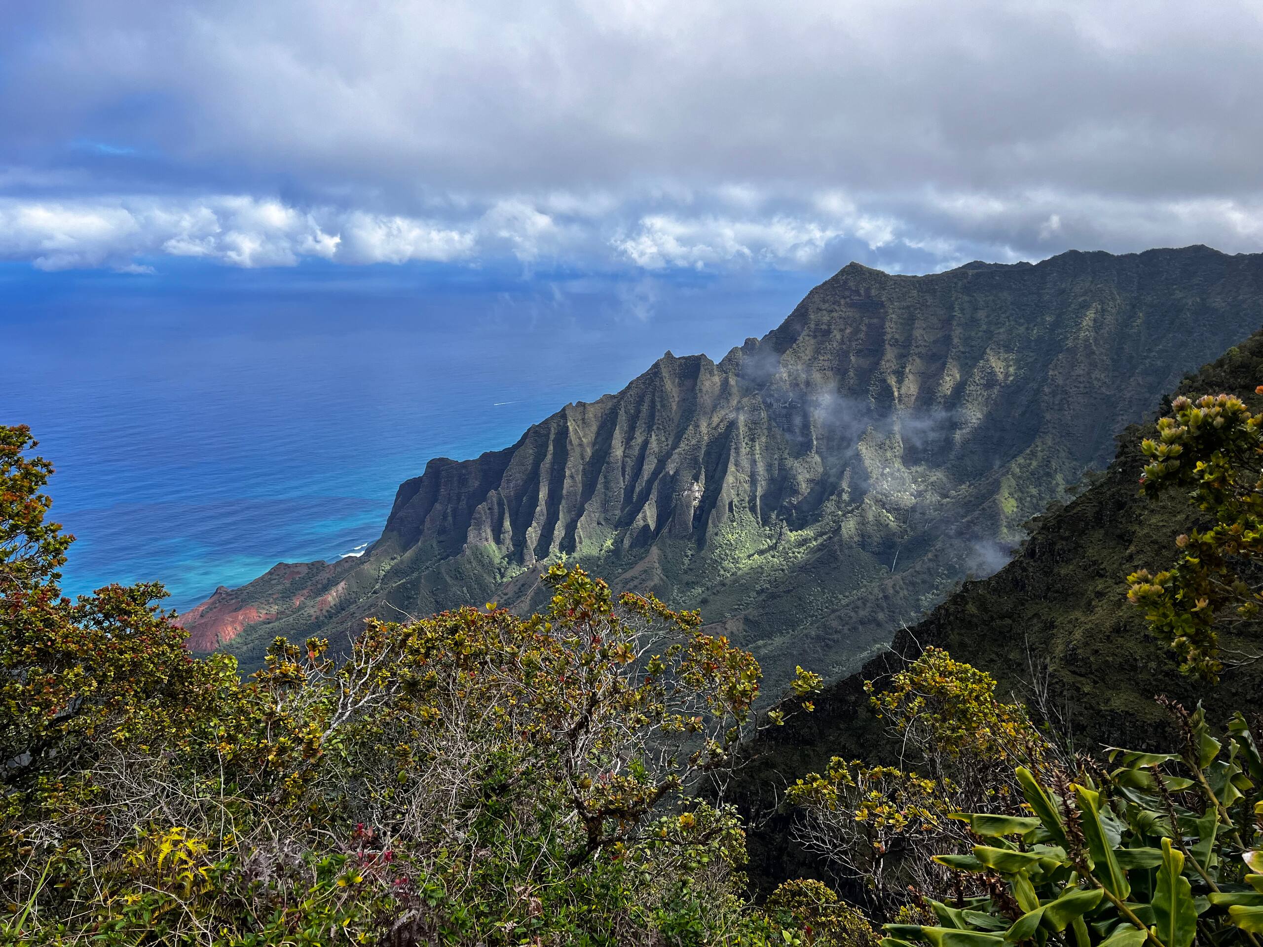 Kauai OCEAN VIEW 1 Bedroom CONDO steps to BEACH! - Photo 44