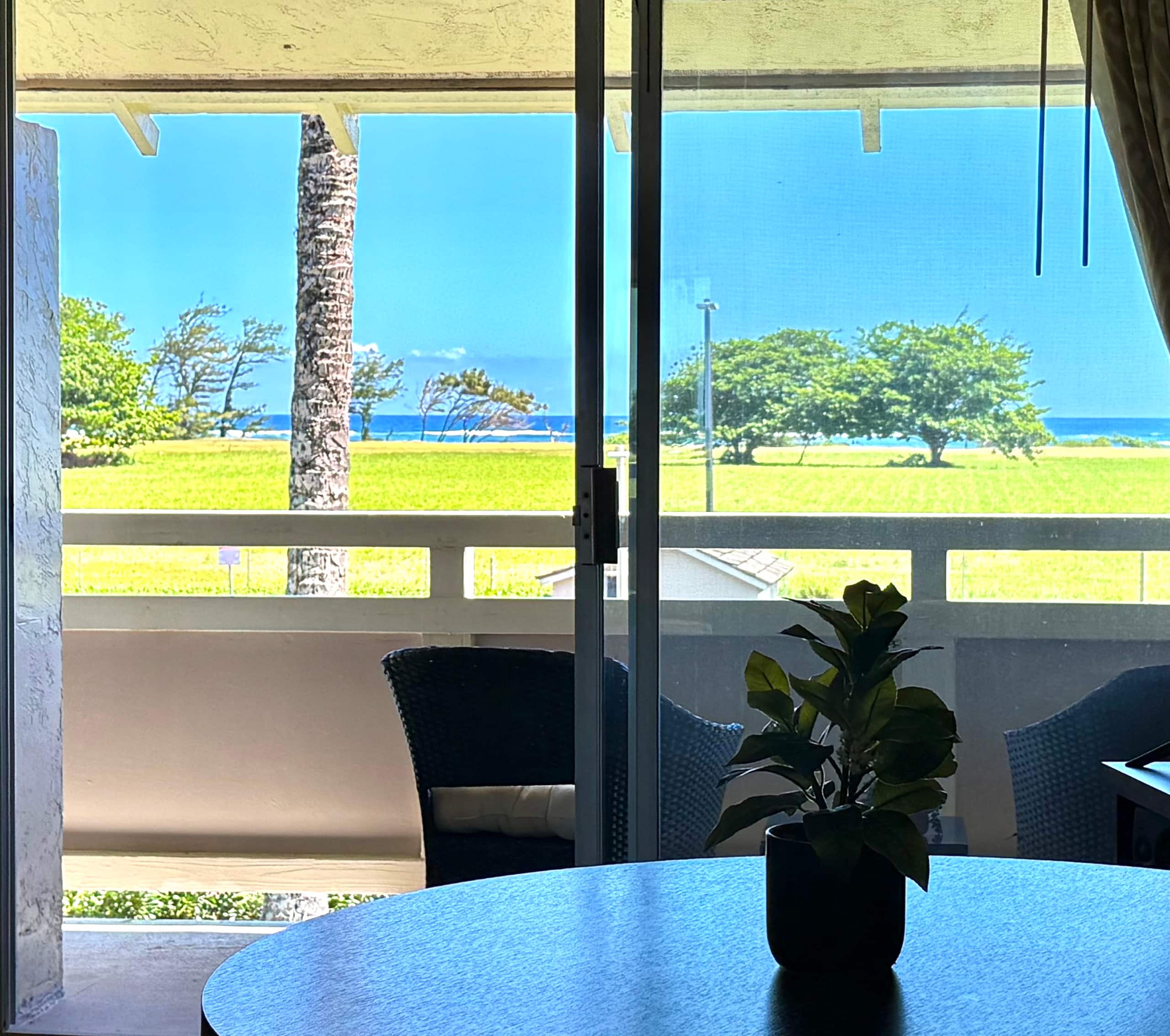 Kauai OCEAN VIEW 1 Bedroom CONDO steps to BEACH! - Photo 6