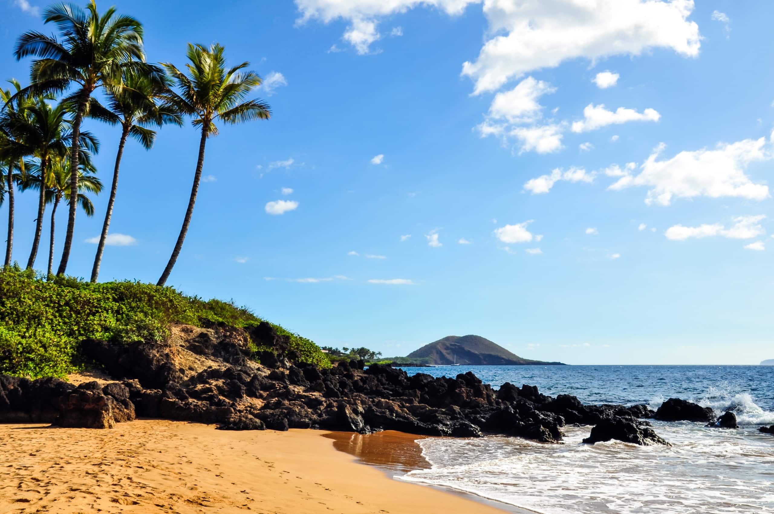 Condo in Wailuku · ★4.9 · 1 bedroom · 2 beds · 1 bath - Image 42