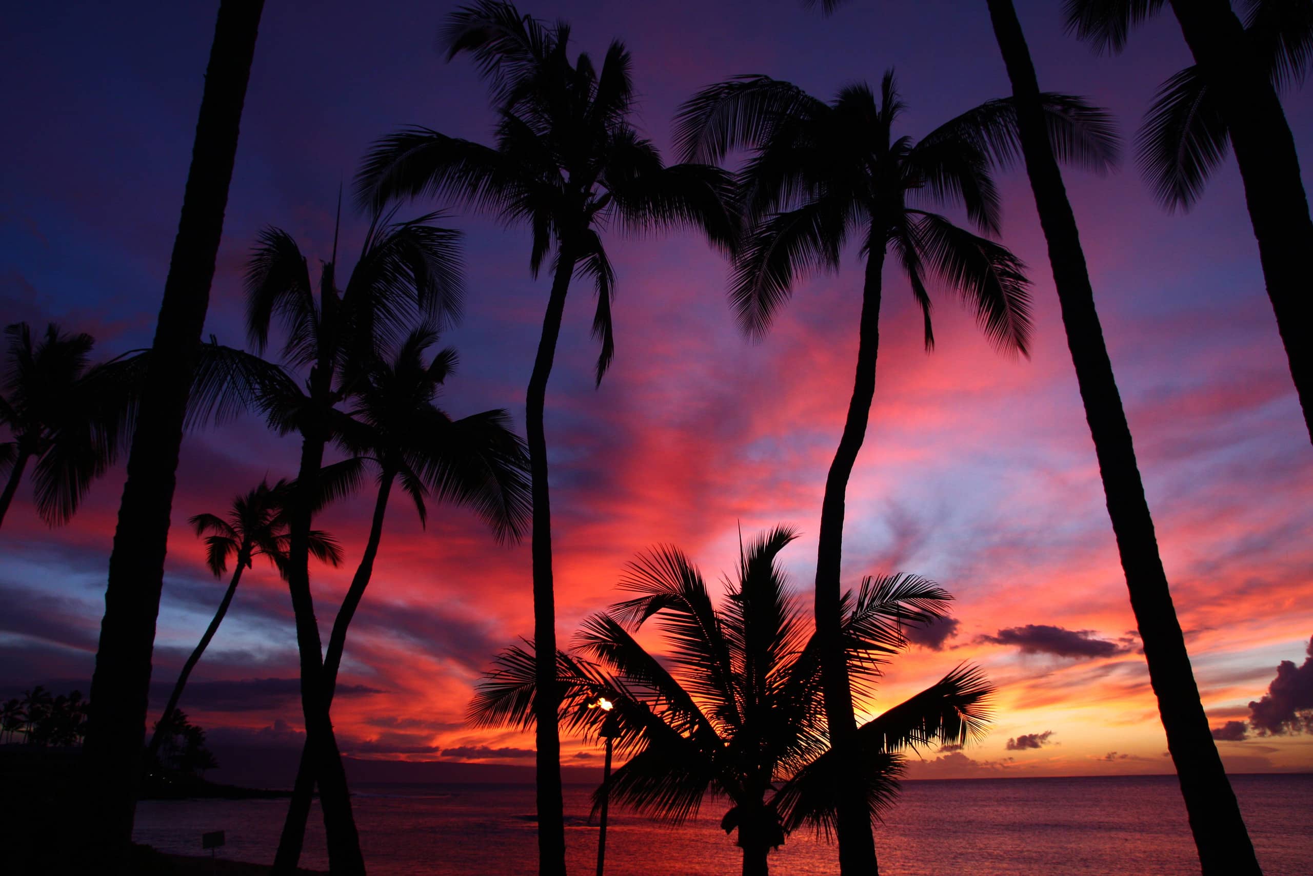 Condo in Wailuku · ★4.9 · 1 bedroom · 2 beds · 1 bath - Image 39