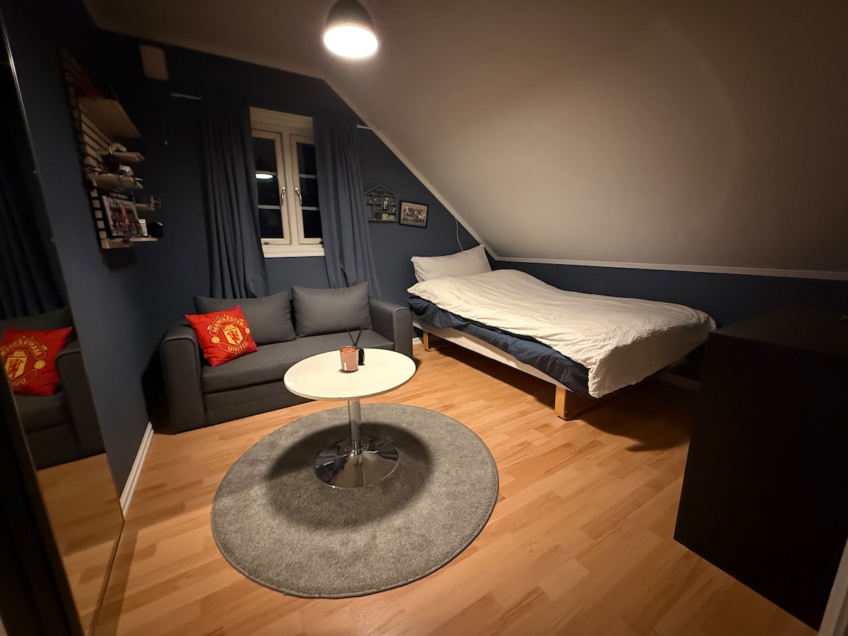 მცირე ორადგილიანი საწოლი 120 სმ და დივანი-საწოლი 120 სმ. ტელევიზორი ოთახში.