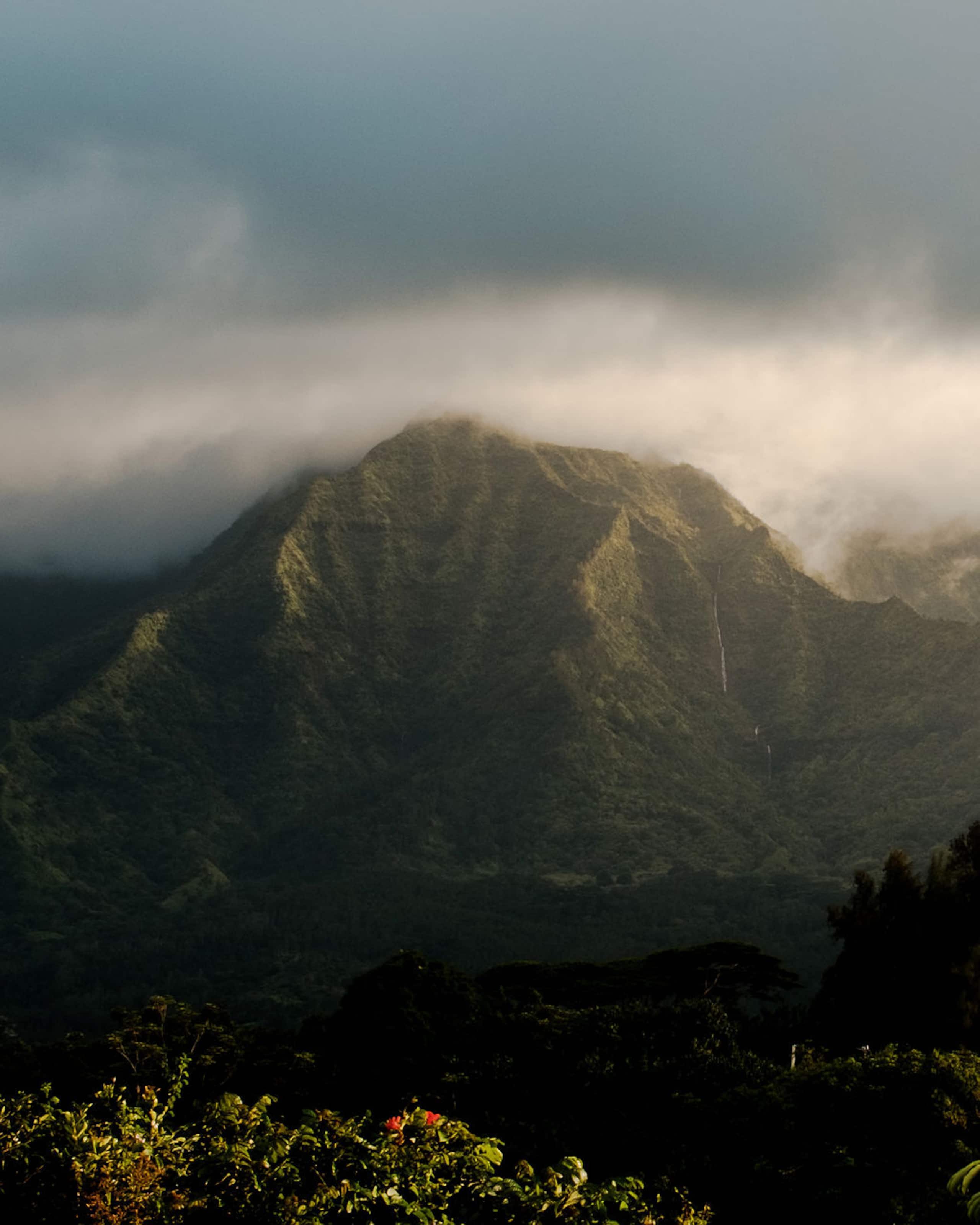 Home in Princeville · ★4.96 · 4 bedrooms · 5 beds · 2 baths - Image 61