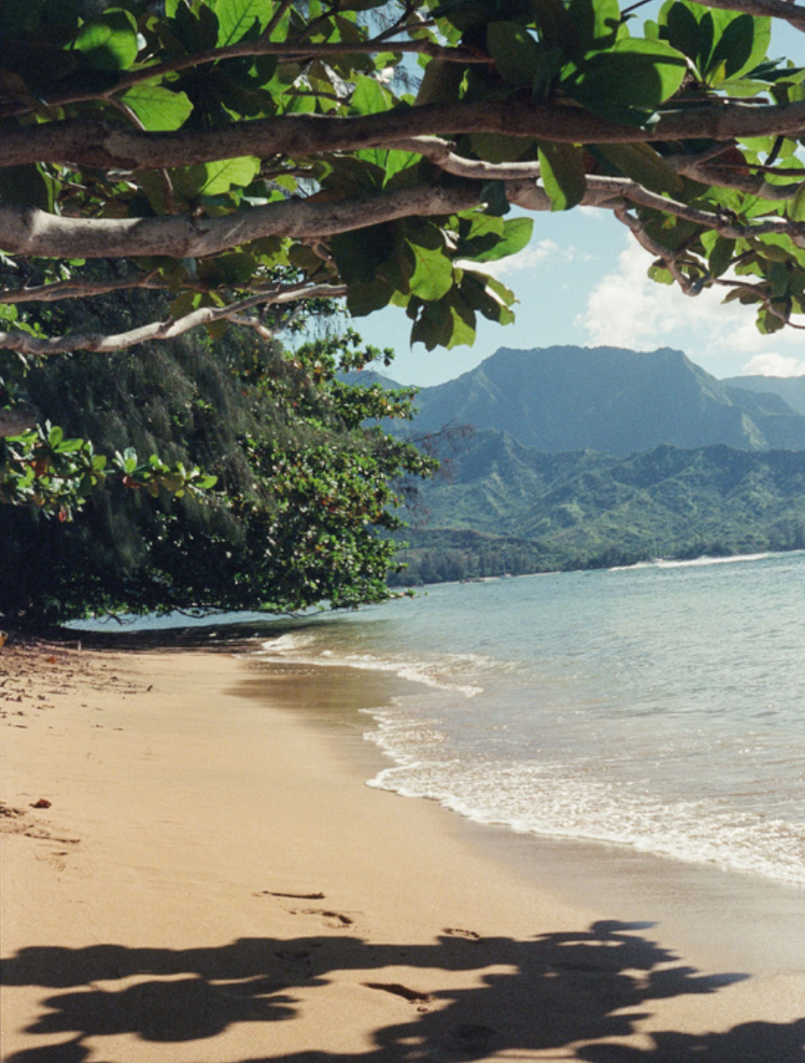 Home in Princeville · ★4.96 · 4 bedrooms · 5 beds · 2 baths - Image 78