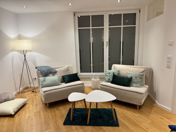 Möblierte 3 Zimmer Wohnung Innenstadt München - Munich