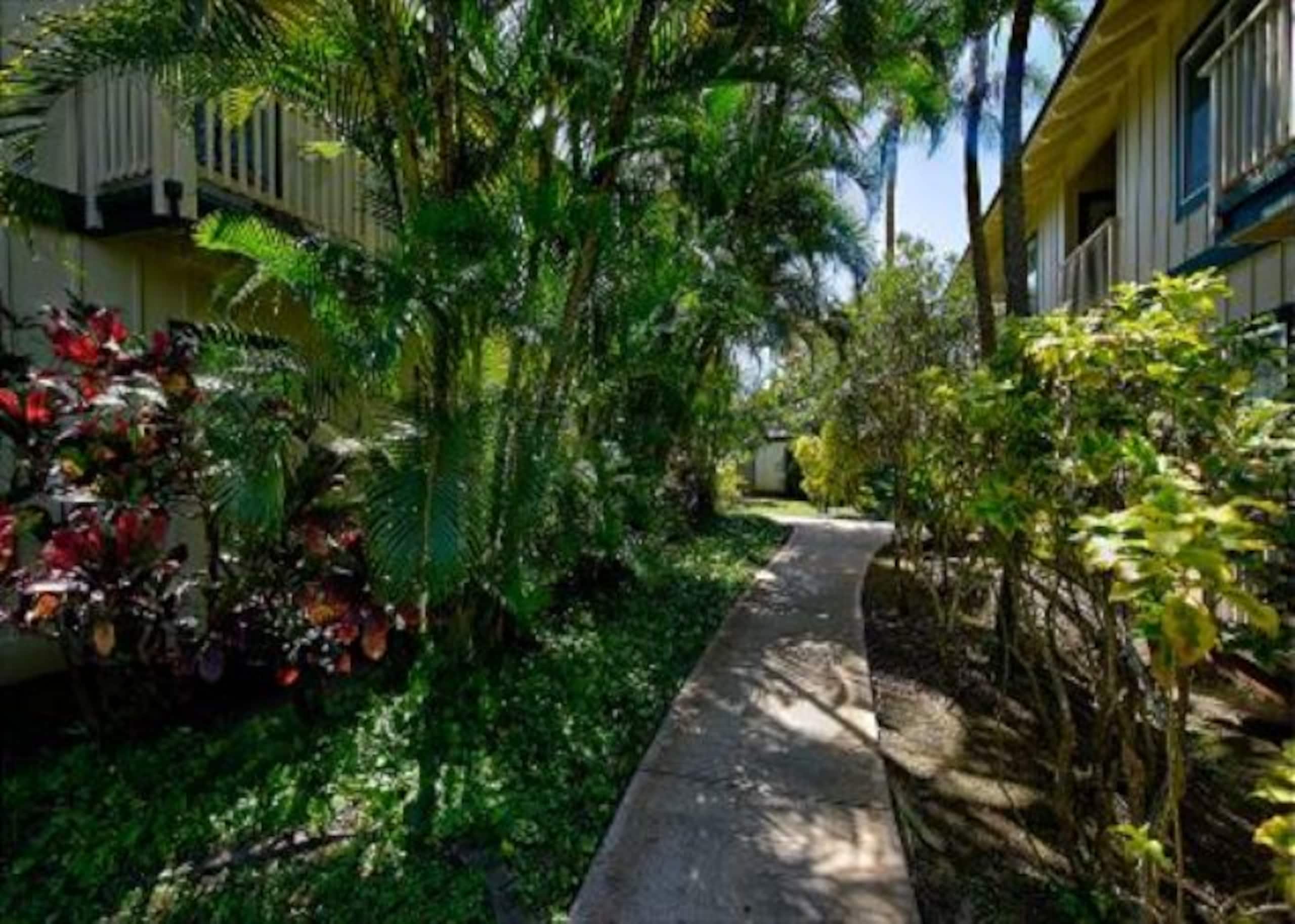 Condo in Koloa · ★4.63 · 2 bedrooms · 3 beds · 2 private baths - Image 2