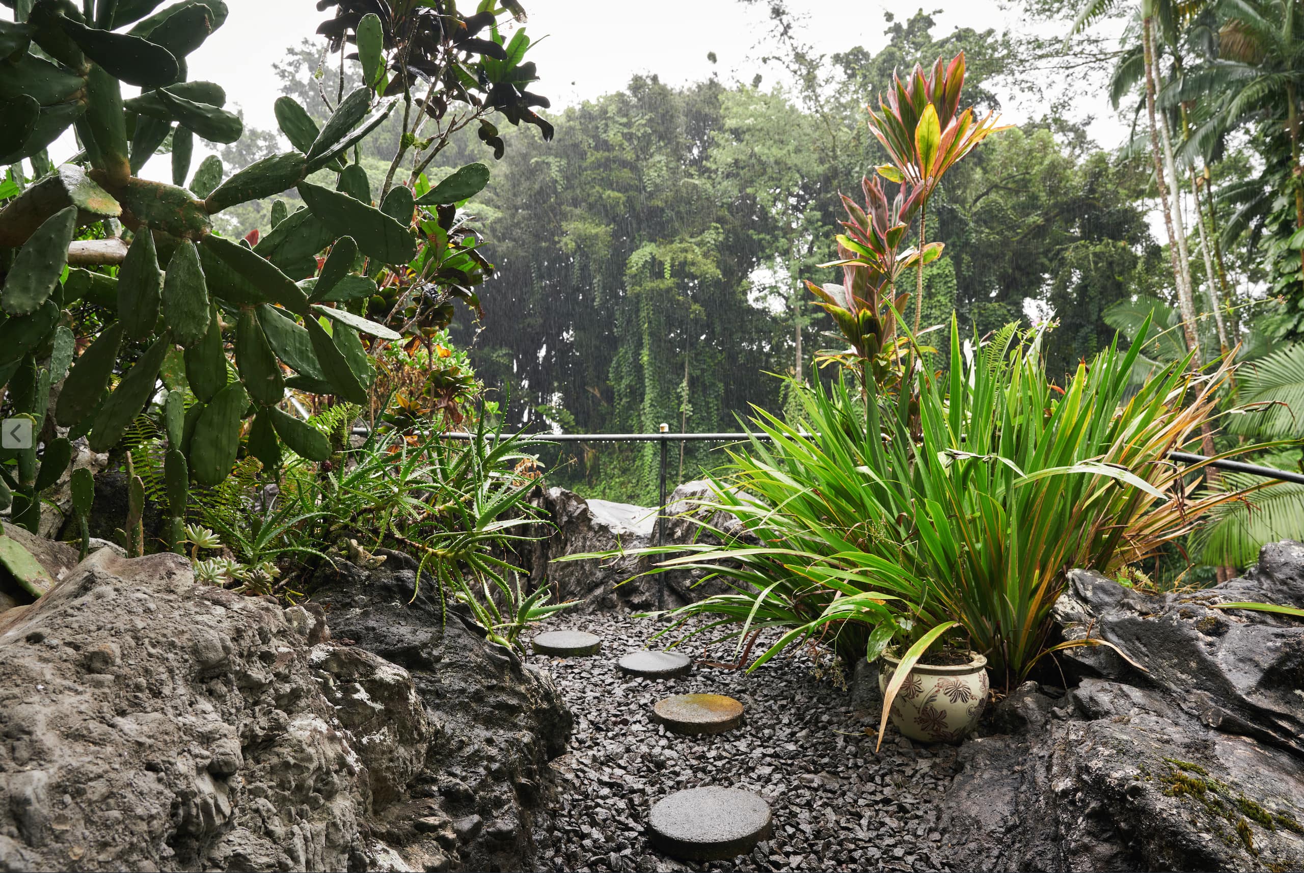Home in Hilo · ★4.92 · 2 bedrooms · 2 beds · 2 baths - Image 13