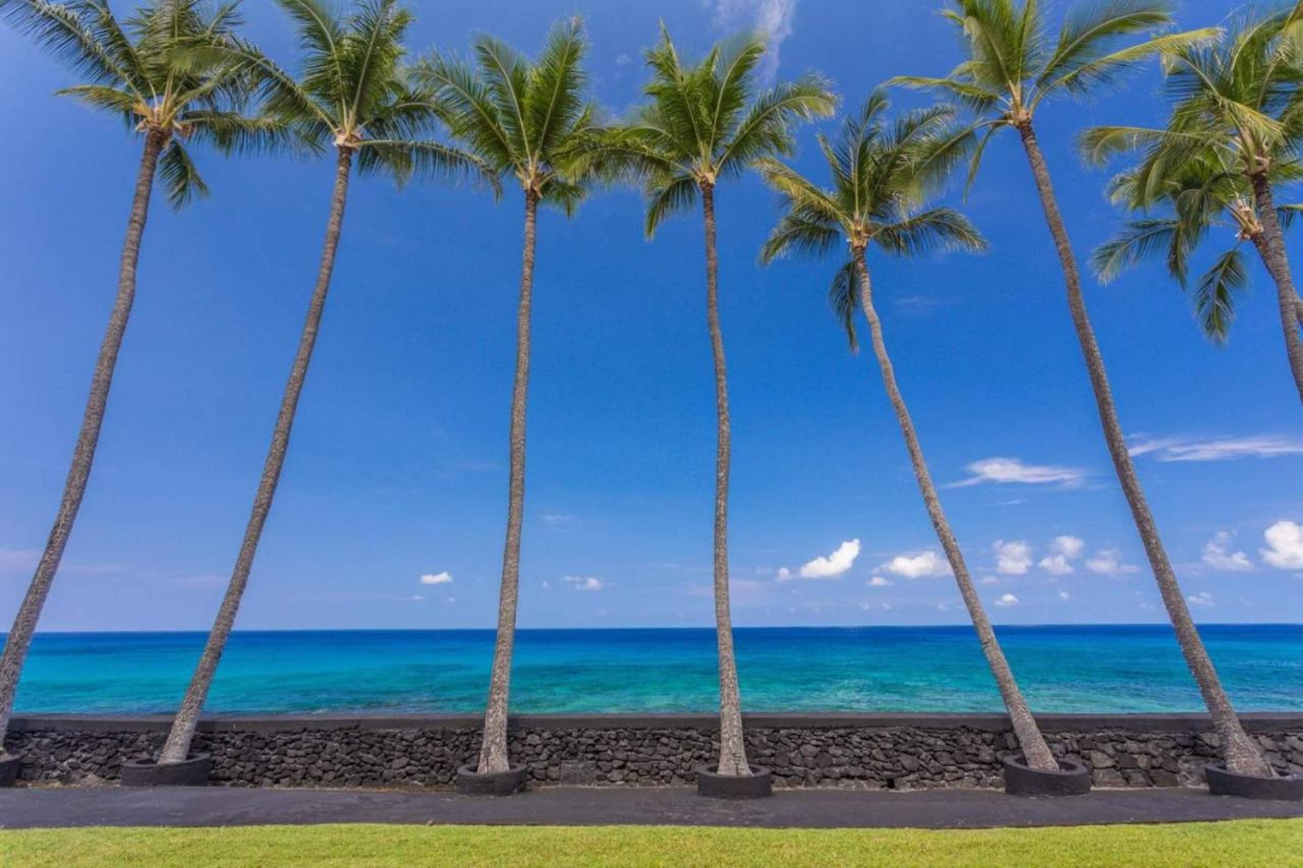 Condo in Kailua-Kona · ★4.79 · Studio · 2 beds · 1 bath - Image 25