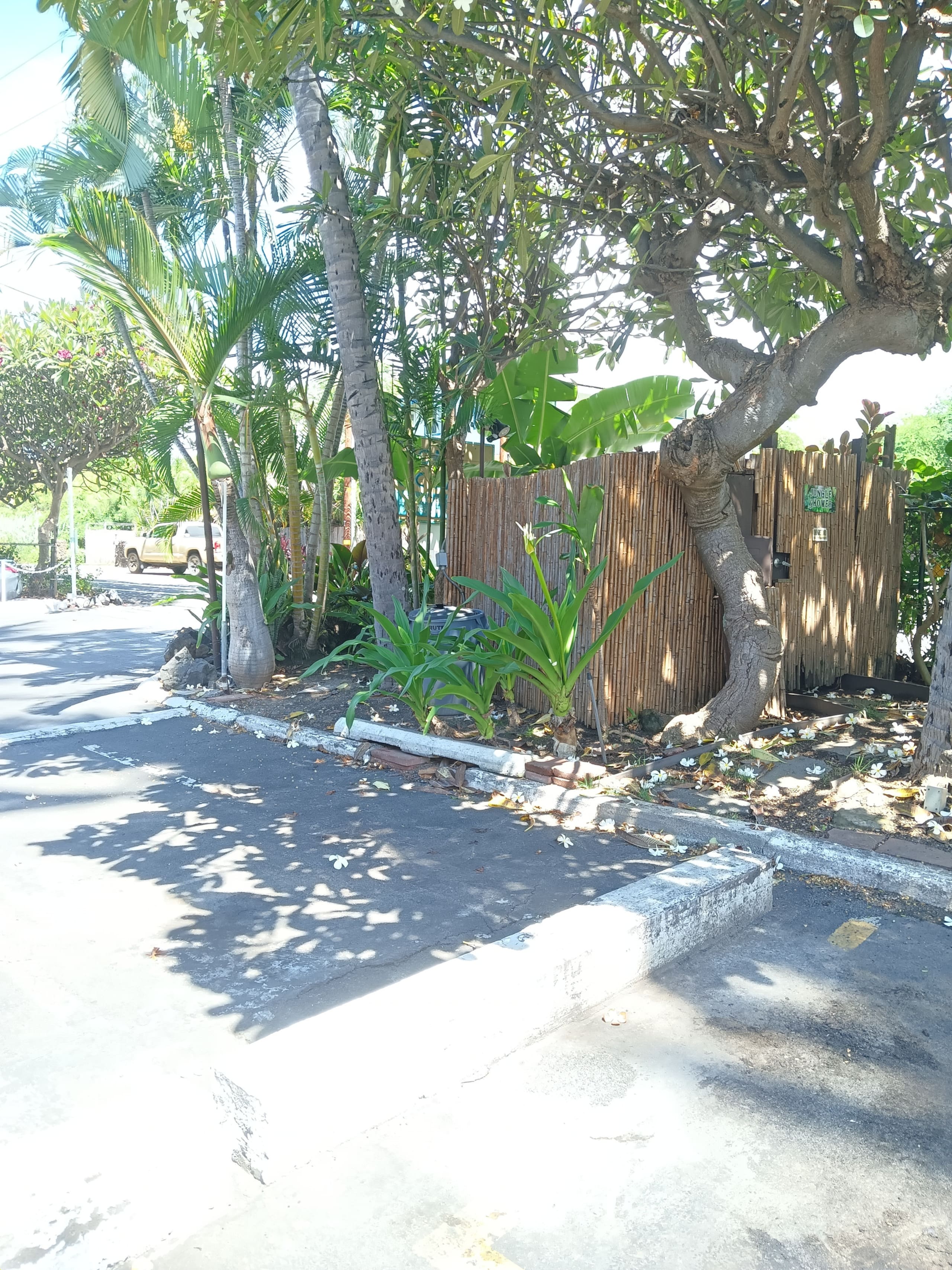 Condo in Kailua-Kona · ★4.79 · Studio · 2 beds · 1 bath - Image 35