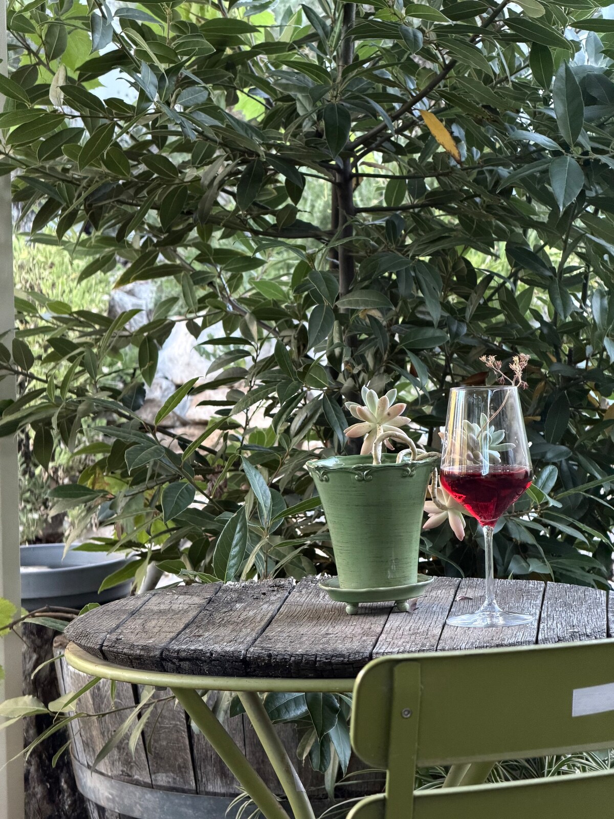 Barossa Valley’s Captain Rodda’s Cottage
