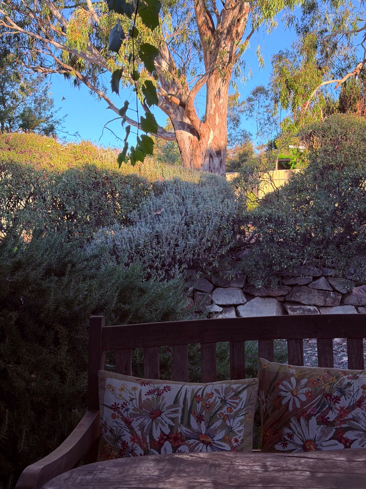 Barossa Valley’s Captain Rodda’s Cottage