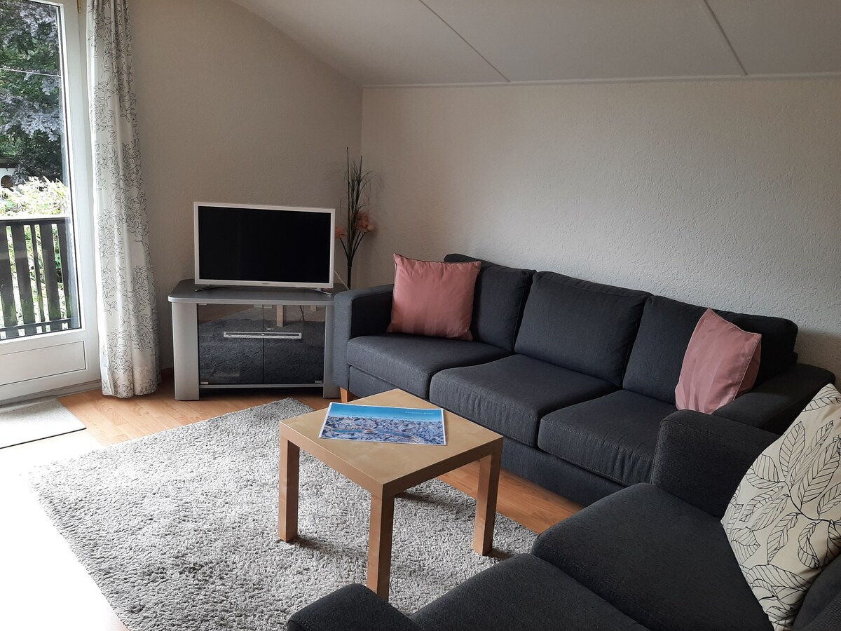 Top performing Airbnb: 3 - Room apartment Interlaken 2-4 people in Interlaken