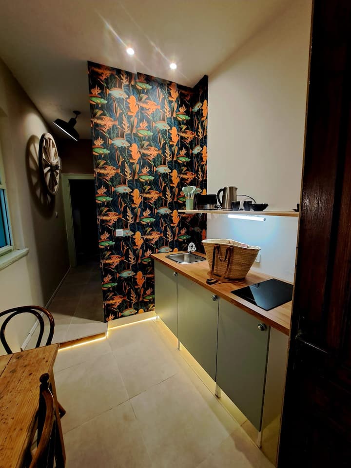 Excellent Location Quiet 1br Apartment Near Beach - Vis