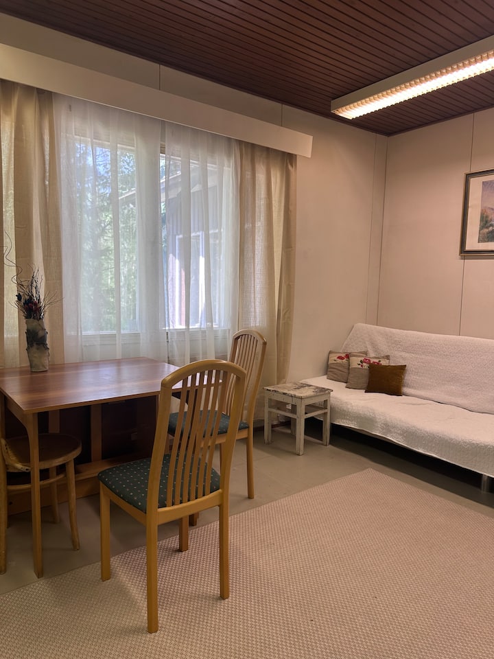 House On Saimaa Beach In Savonlinna - Savonlinna
