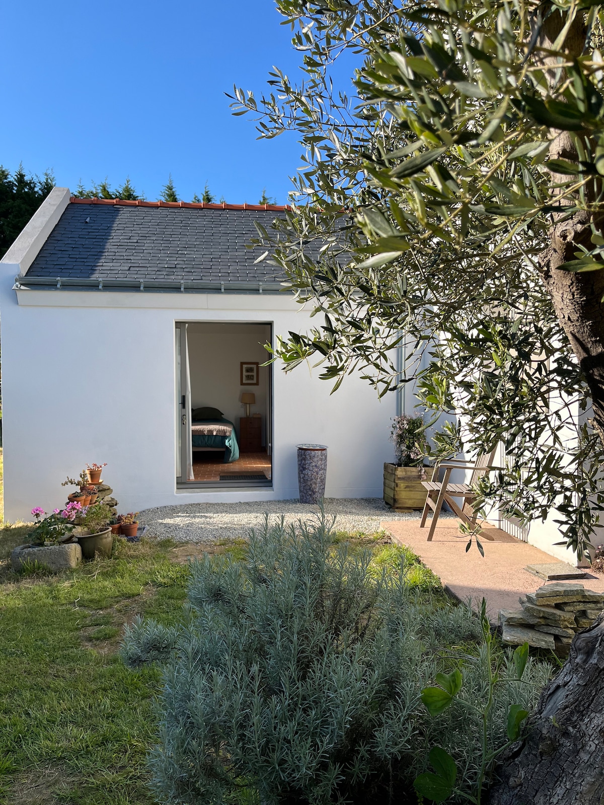 A modern white house is framed by green shrubs and an olive tree. The entrance features a sliding glass door that leads to a visible interior space. Colorful flower pots and a decorative vase are positioned nearby, enhancing the serene outdoor setting.