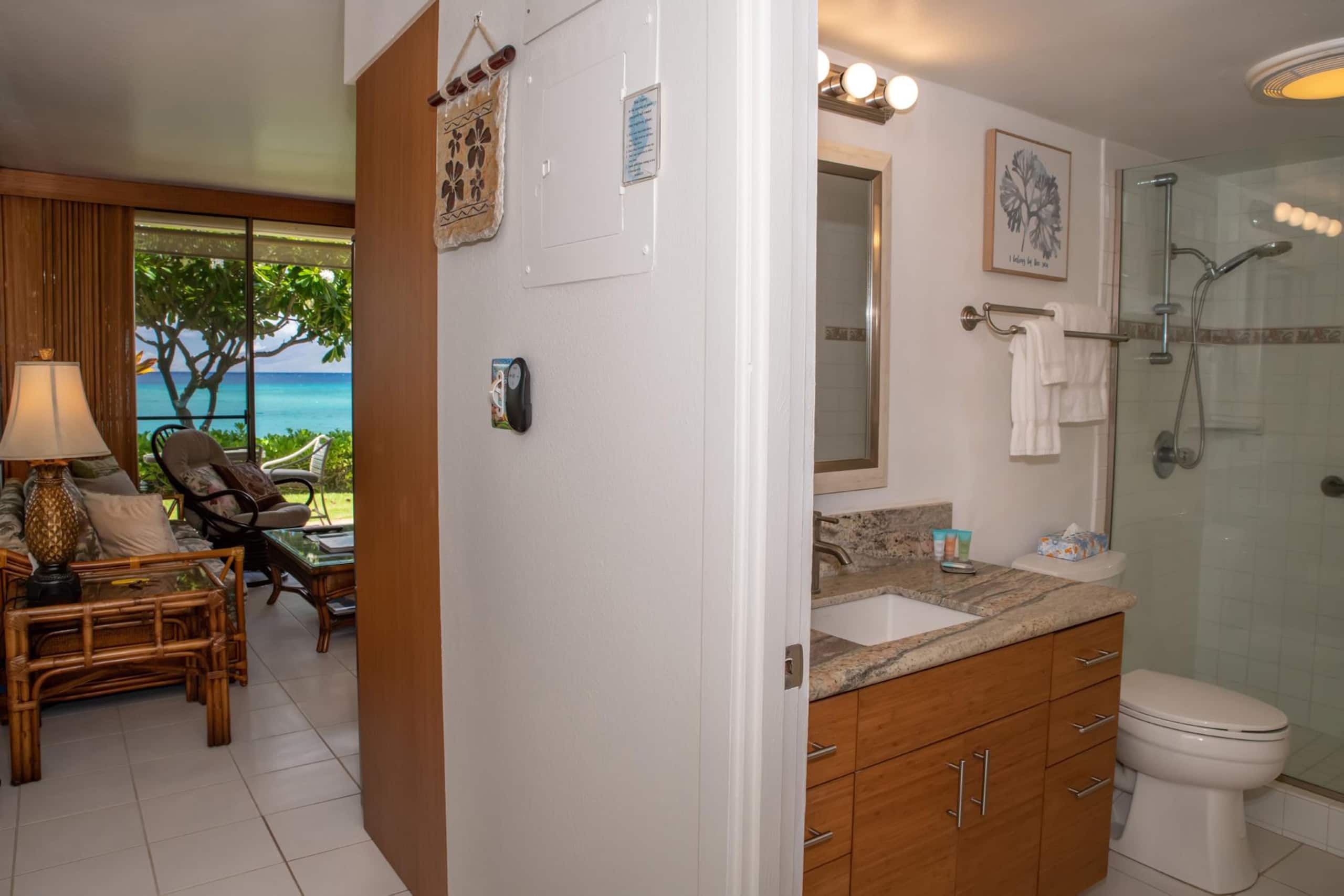 Oceanfront Kuleana 401 - Gorgeous Ground Floor - Image 12