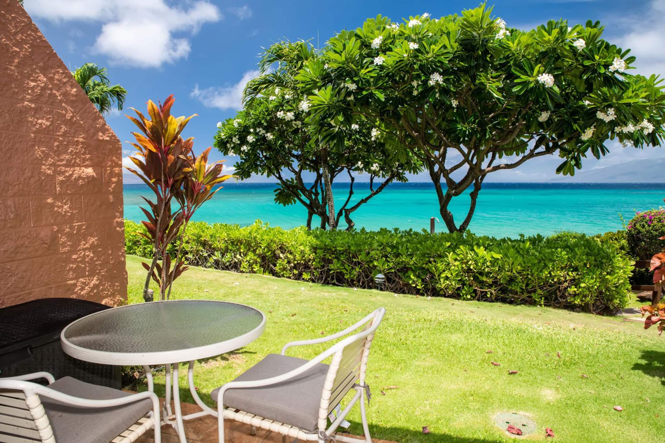Oceanfront Kuleana 401 - Gorgeous Ground Floor - Image 1