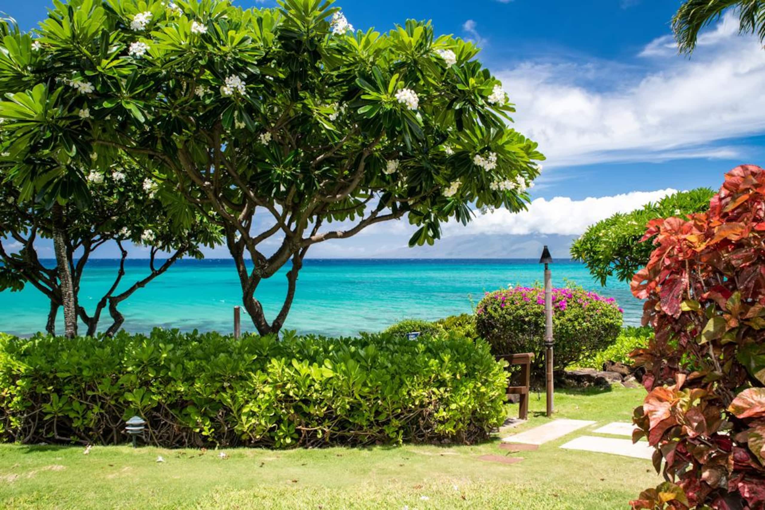 Oceanfront Kuleana 401 - Gorgeous Ground Floor - Image 19